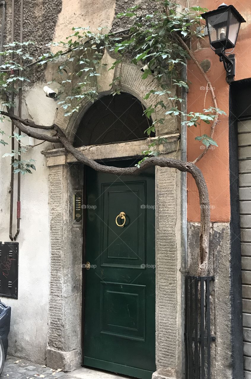 Encouraged to grow, the doorways in Trastevere are alive with nurtured greenery. This gives this place such a sweet connection to the old world, still in touch, soo very earthy! 
