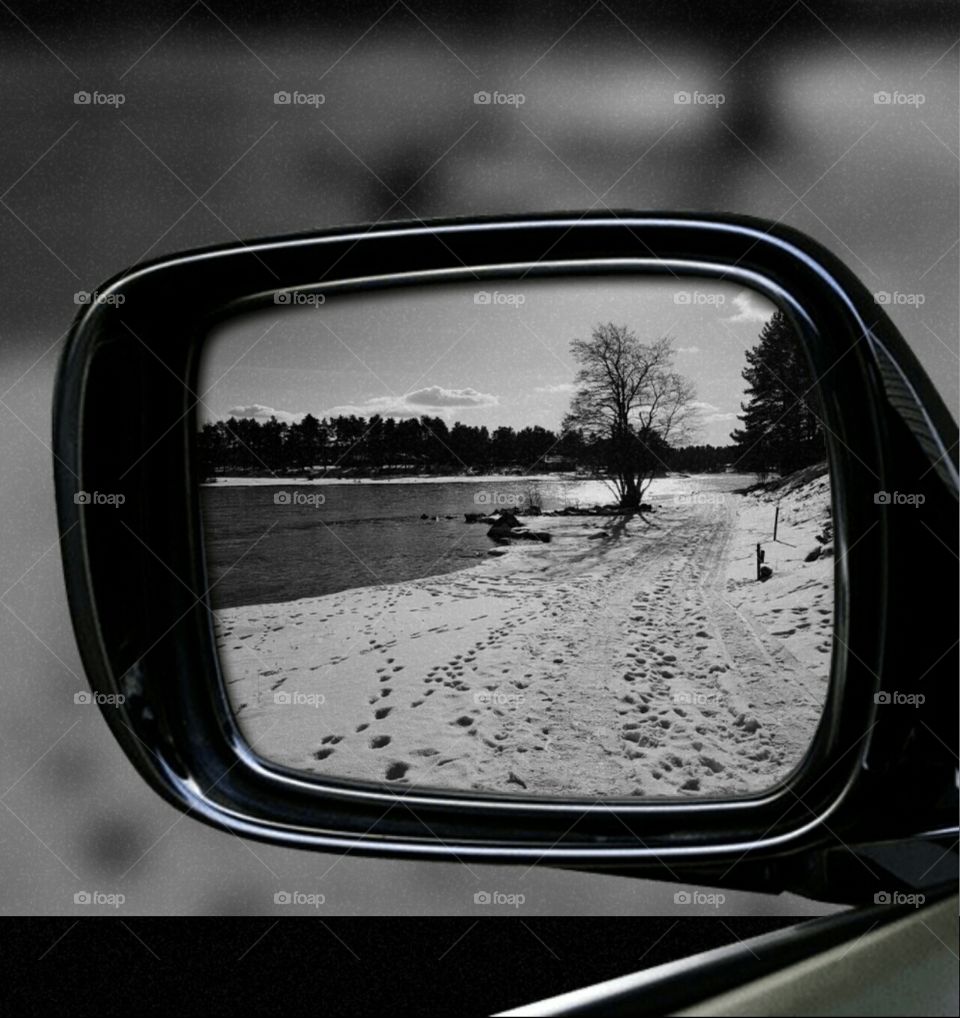 rearview mirror
