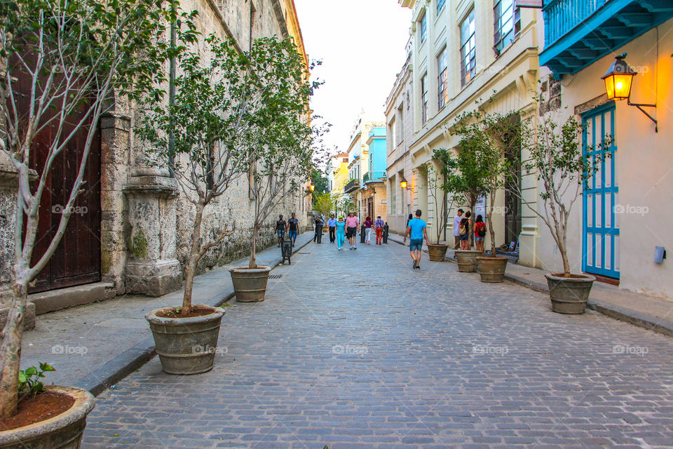 Street in old Havana Cuba 