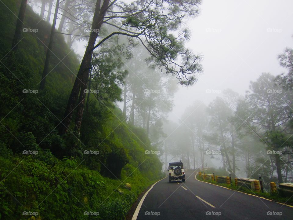 The Foggy Hill Road