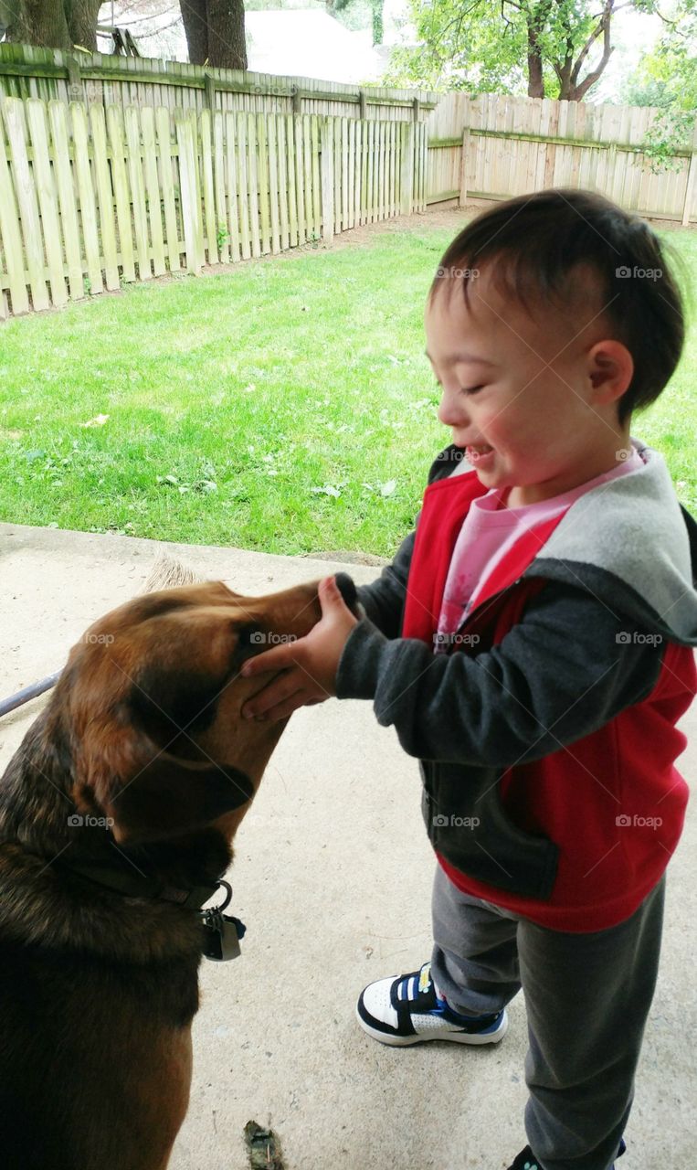 Dog with small boy