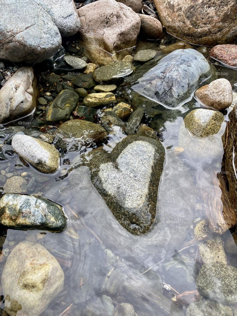 Heart rock in the water 