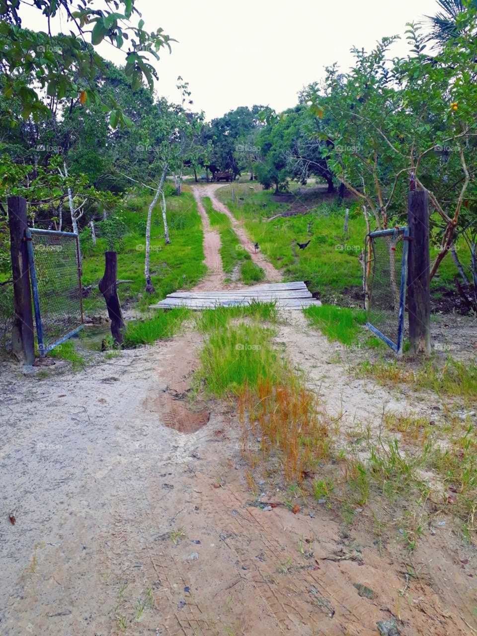 Fazenda