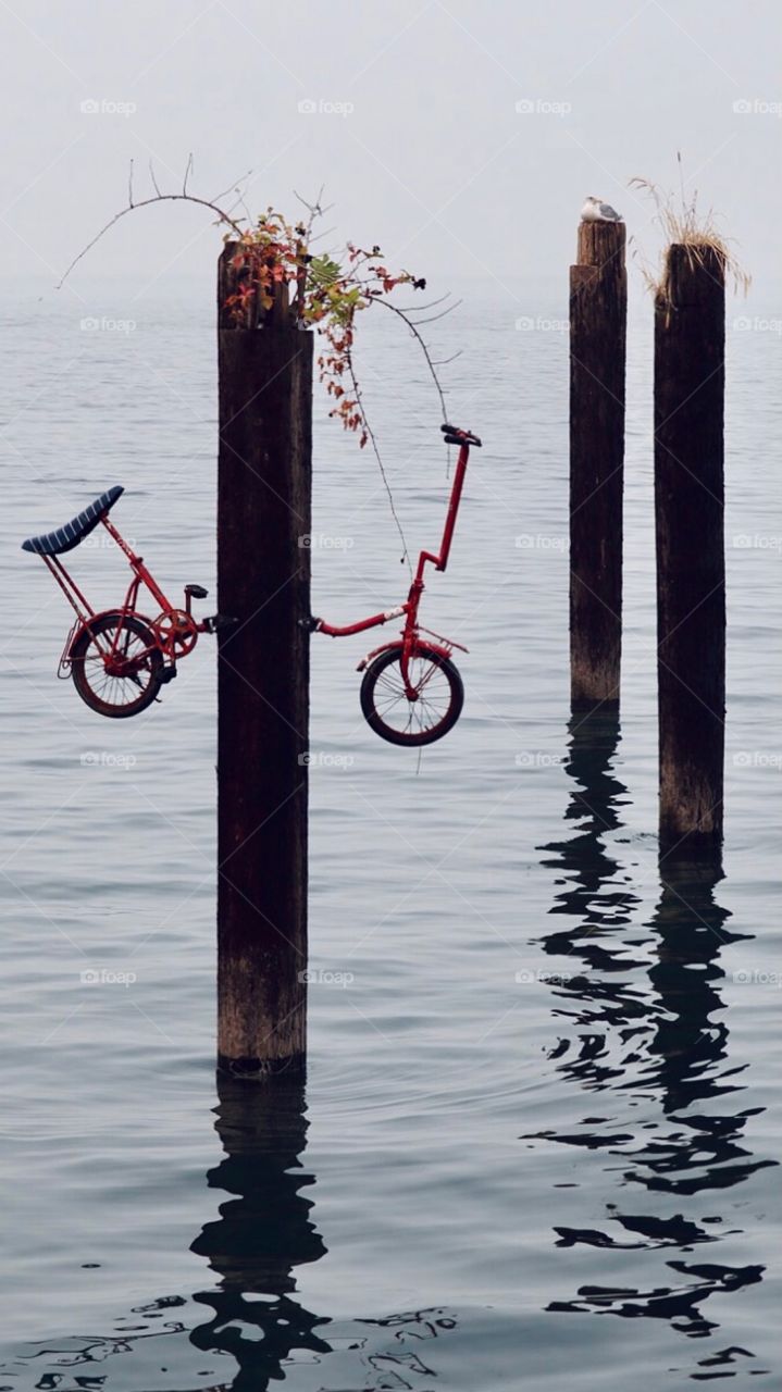 Riding the waves. Art installation poised Commencement Bay, Tacoma, Washington is enjoyed by a seagull 