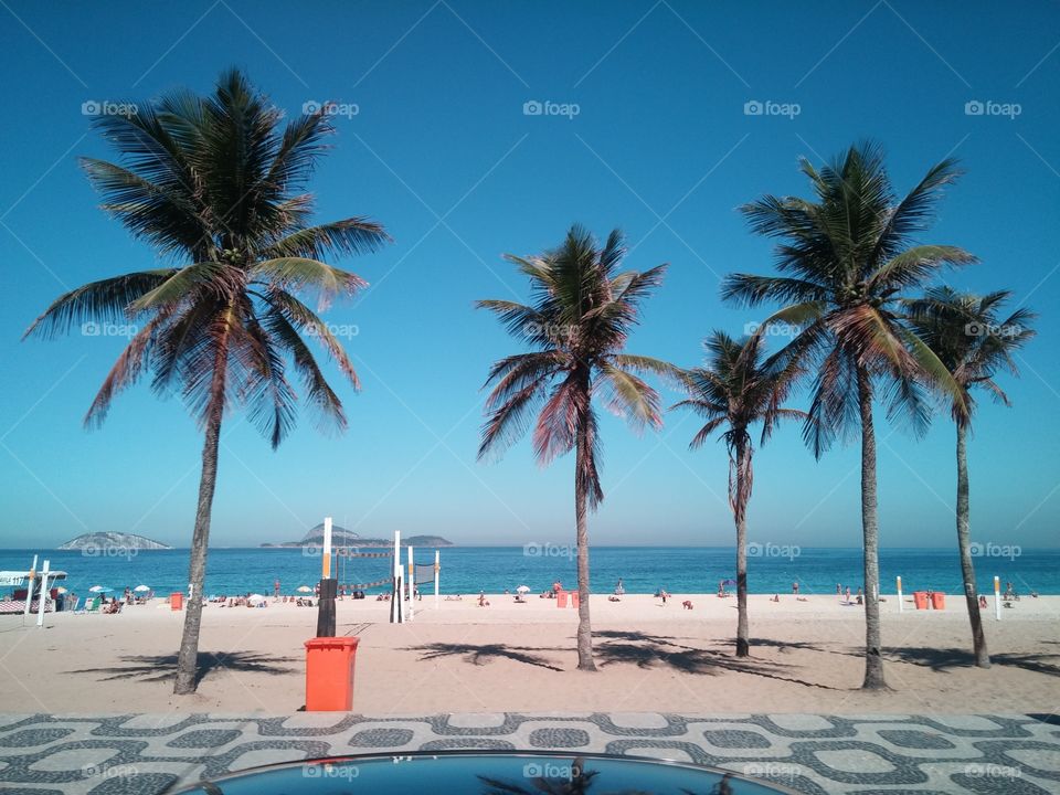 Beach, Sand, Tropical, Palm, Resort