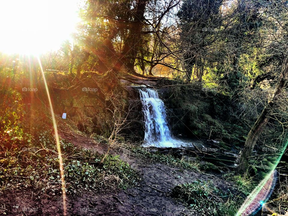 Sunbeams during sunset behind a picturesque waterfall in the woods.