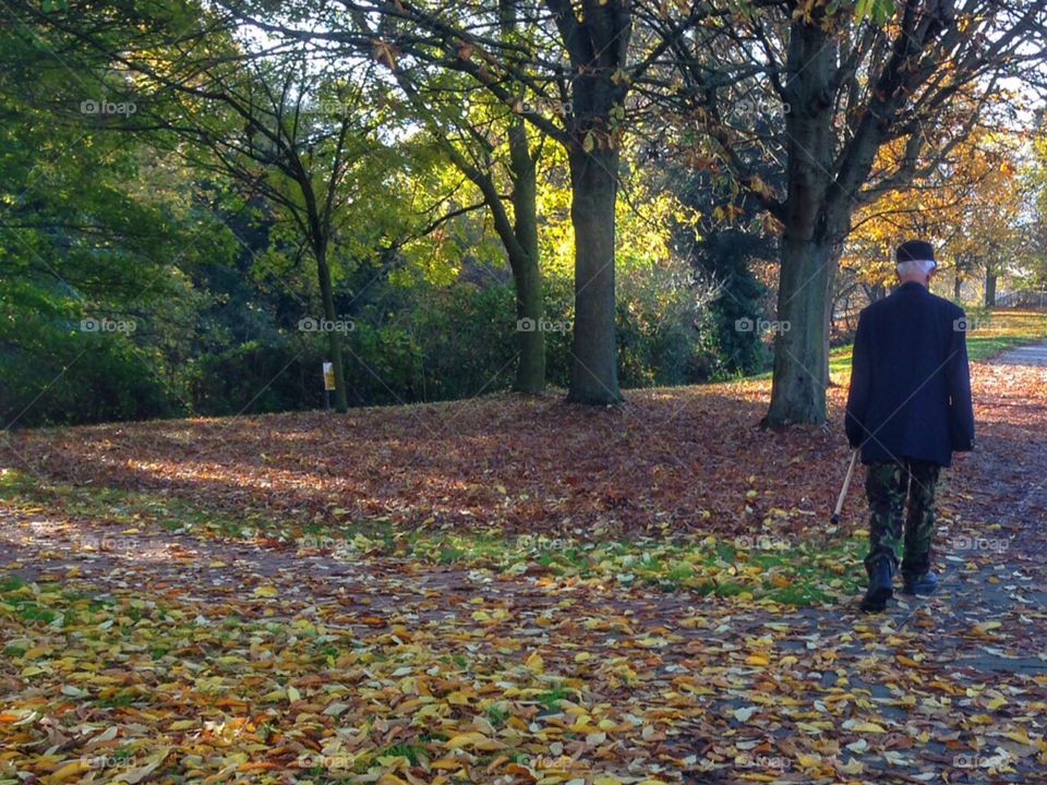 Autumn walk