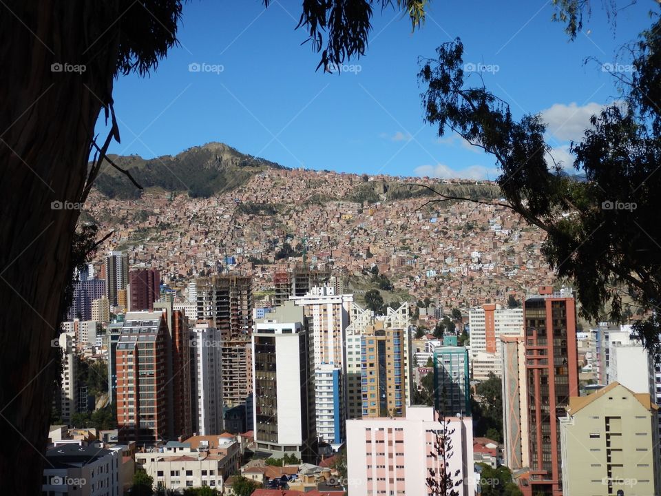 La Paz through pines 