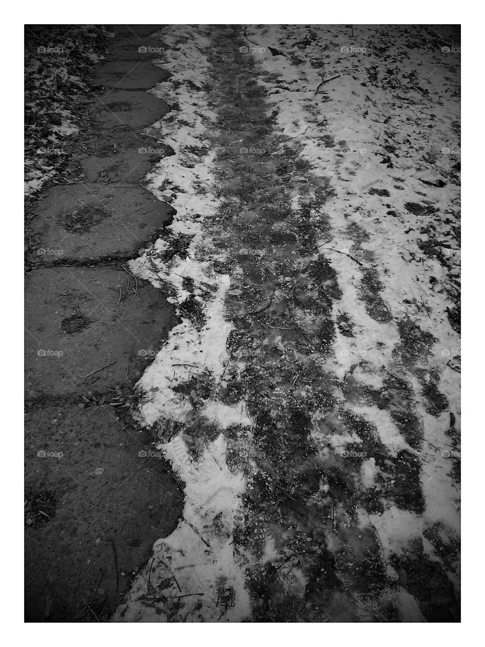 black and white walkway in the snow