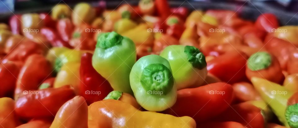 chilli pepper color clash