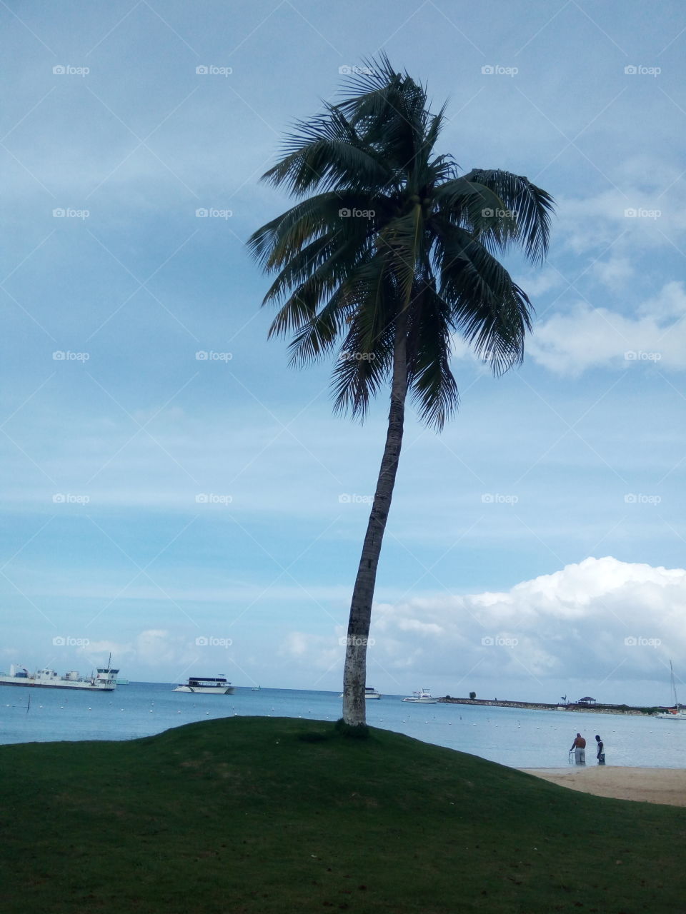 Beach, No Person, Water, Seashore, Sand