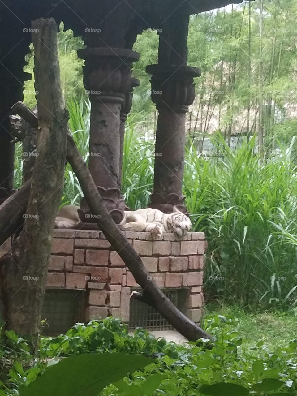 The beauty of Photography is not in what you see, its art lies in your dreams.
Every sunset gives me a hope to live.
It reminds me,You have capture more with your heart.It reminds me you are not alone,surrounded by a beautiful world,
always there