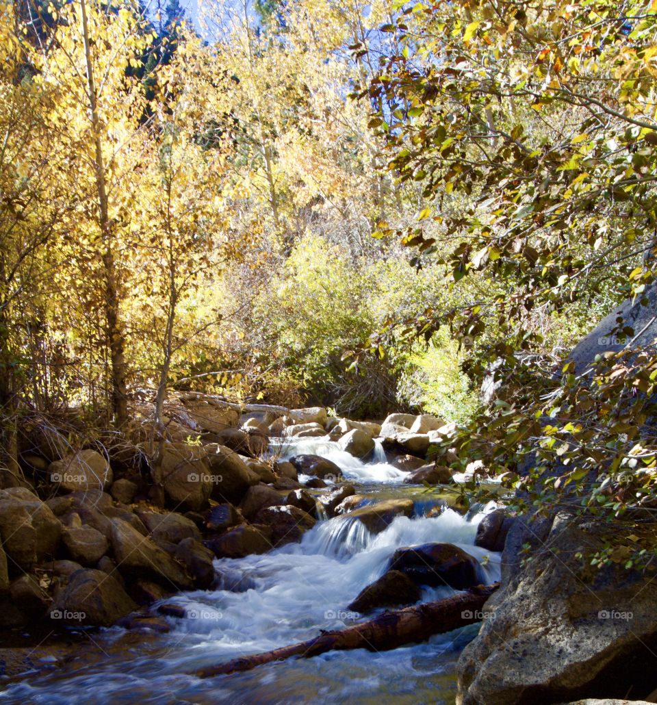 Carson River in Fall