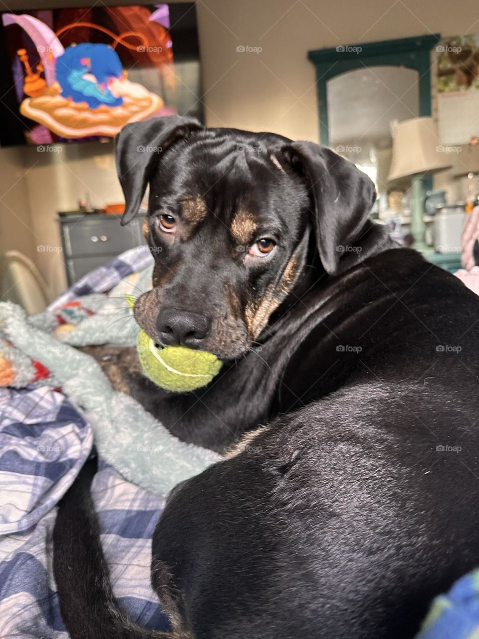 Just a boy and his ball 