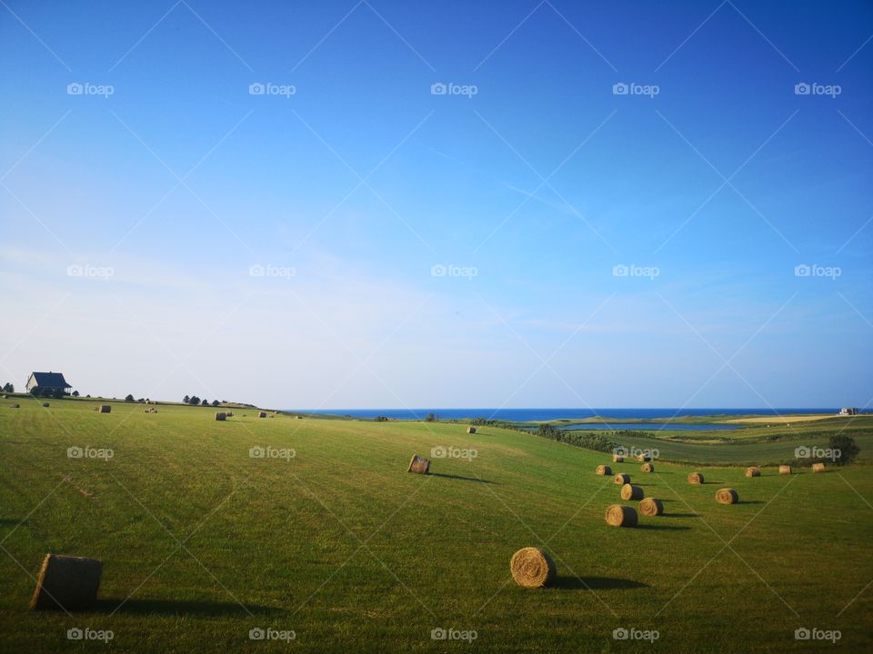 A green field with haystacks in the pittoresque Green Gables, Prince-Edward Island, Canada