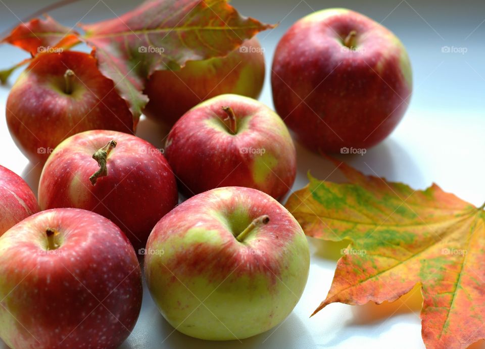 apples and leaves autumn harvest