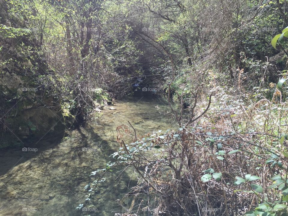 River jungle : la Cagnes au plus profond de la forêt !