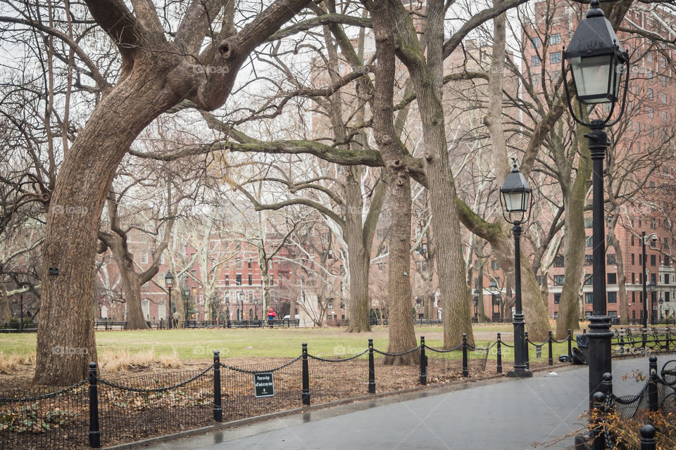 Washington square park in New York 
