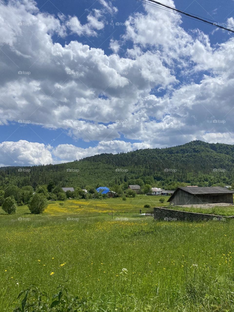 Sky forest mountains green grass