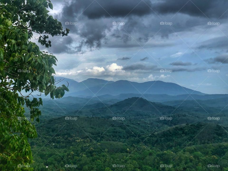 A nice view from Kerala 