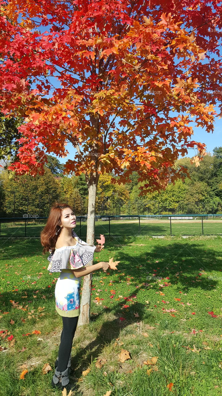 Autumn in New York City. 🍁🍁🍁🍂🍂🍂🍁🍂