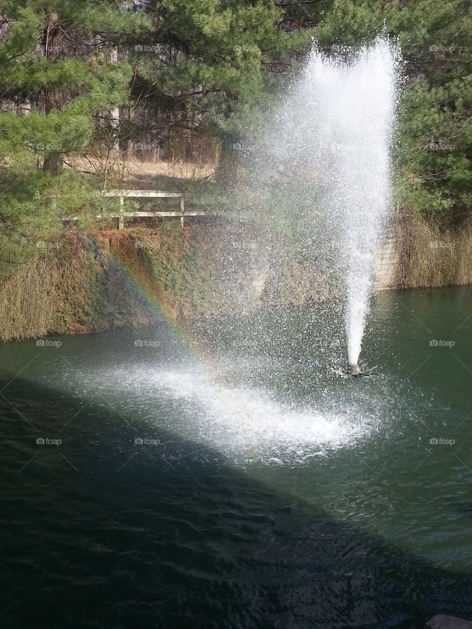 rainbow waterfall. beautiful water flow