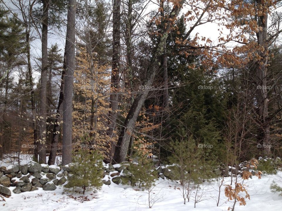 Snow covered rock wall