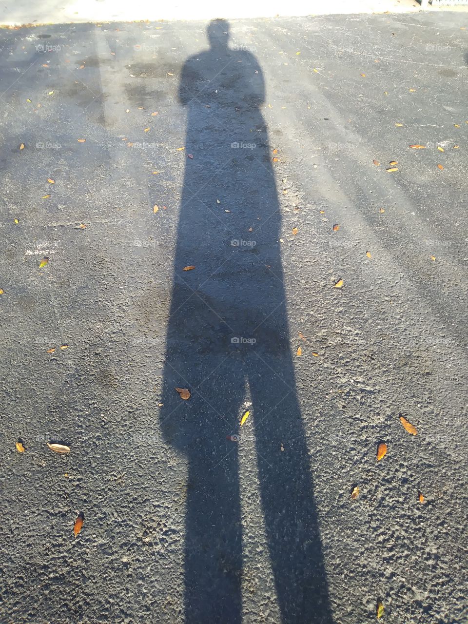 long tall shadow