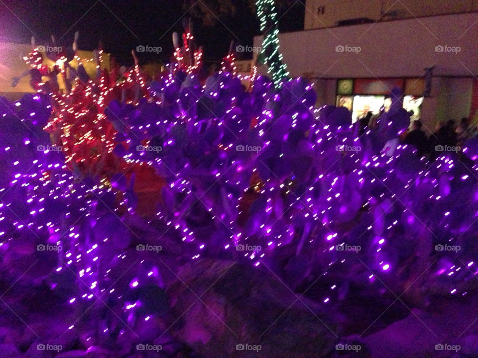 purple christmas lights by snook911