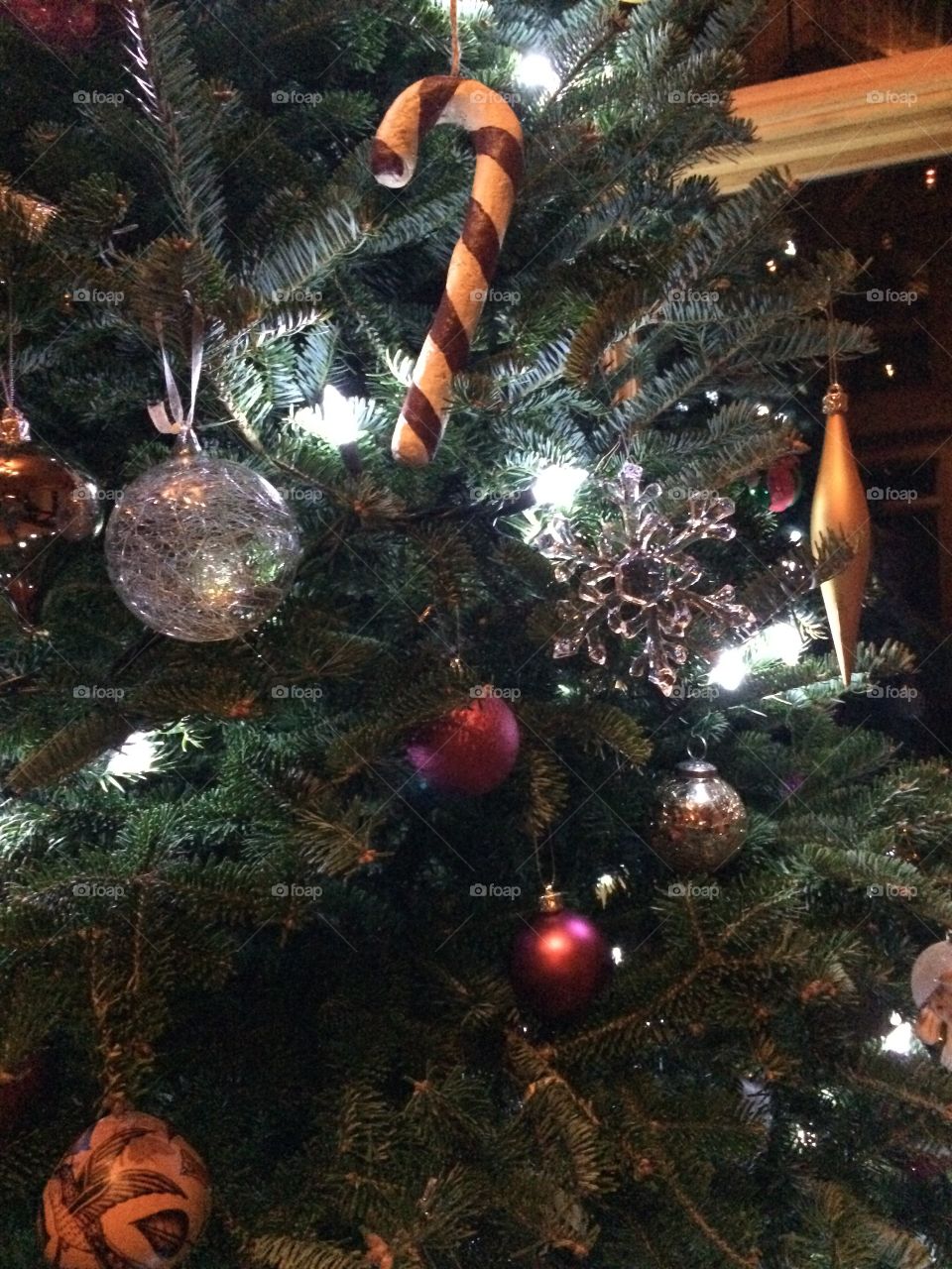 The Most Wonderful Time of the Year