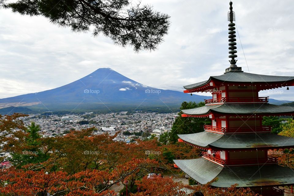 Mount Fuji in the fall