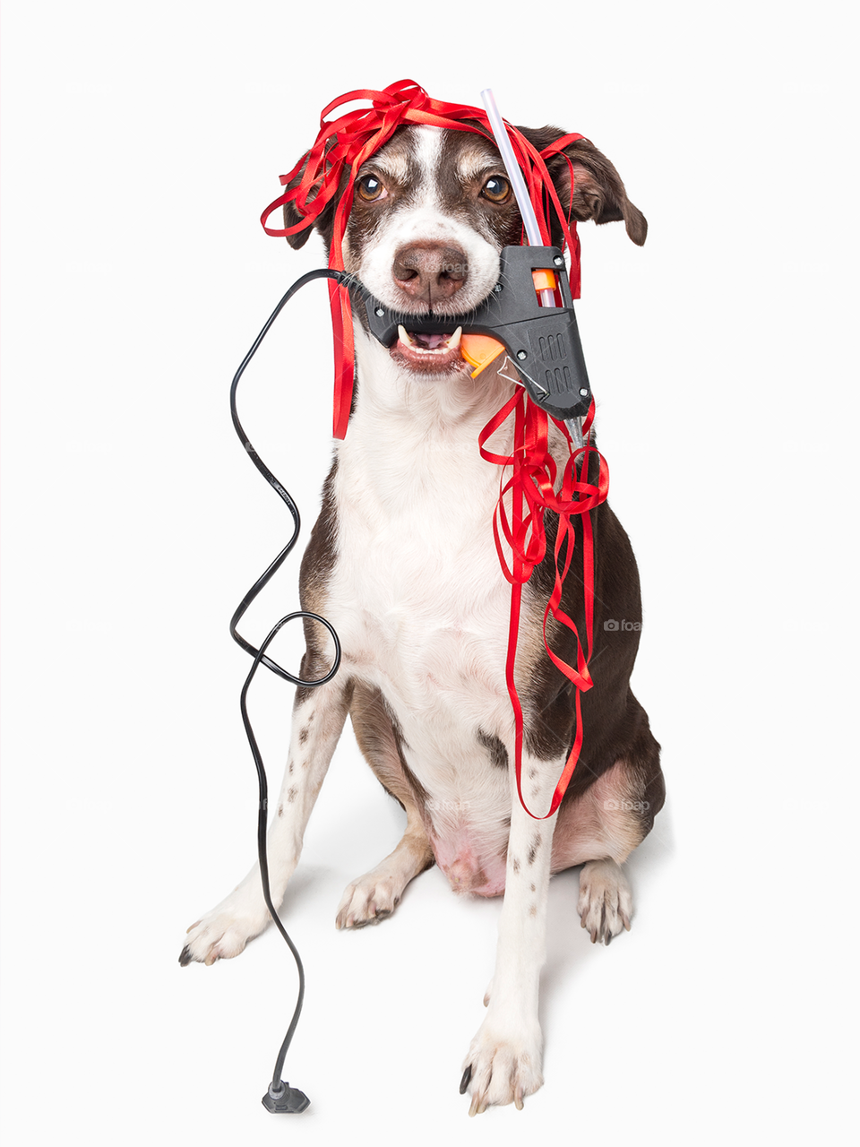 Dog with hot glue gun and red ribbon