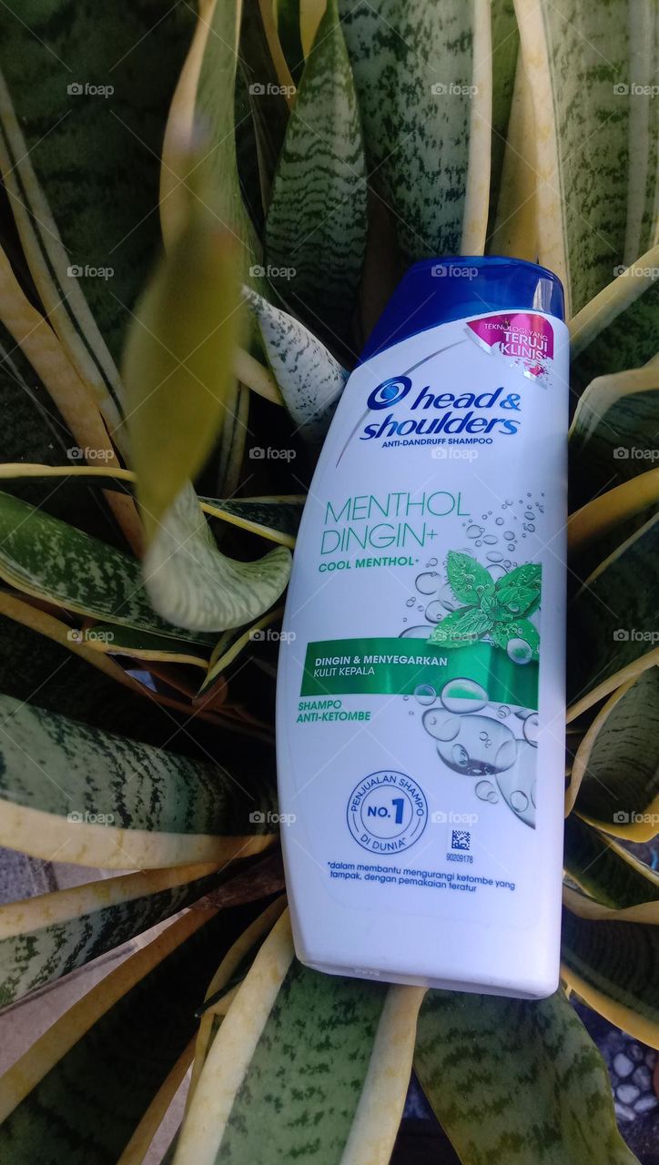 Anti-dandruff shampoo products