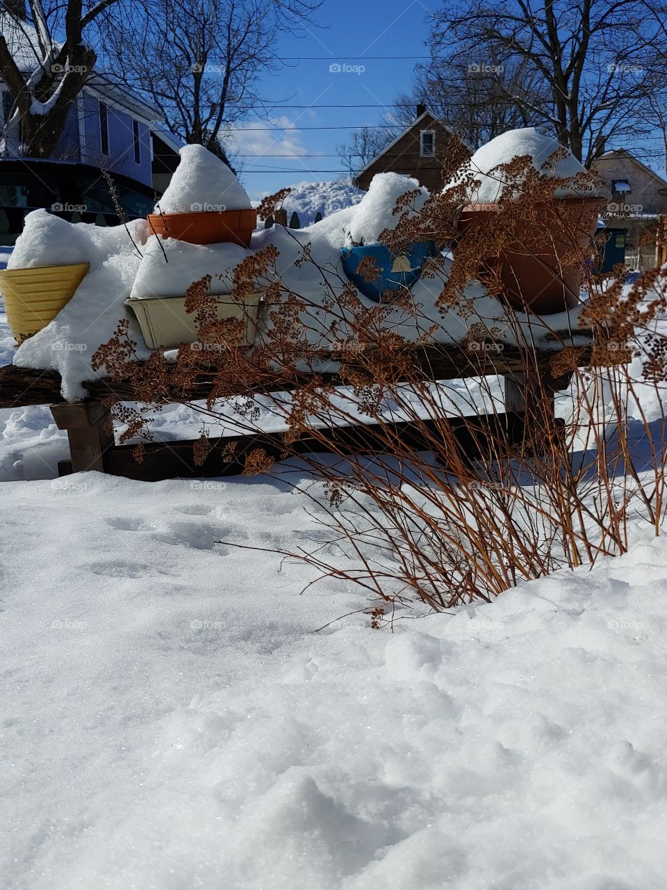 snow hats on flower pots