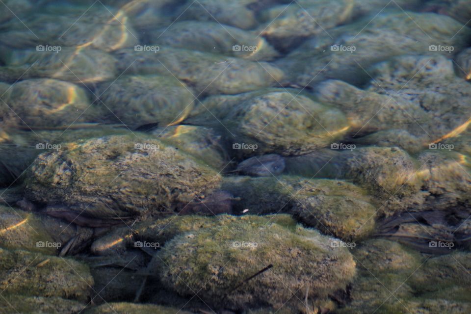 Rocks in the water