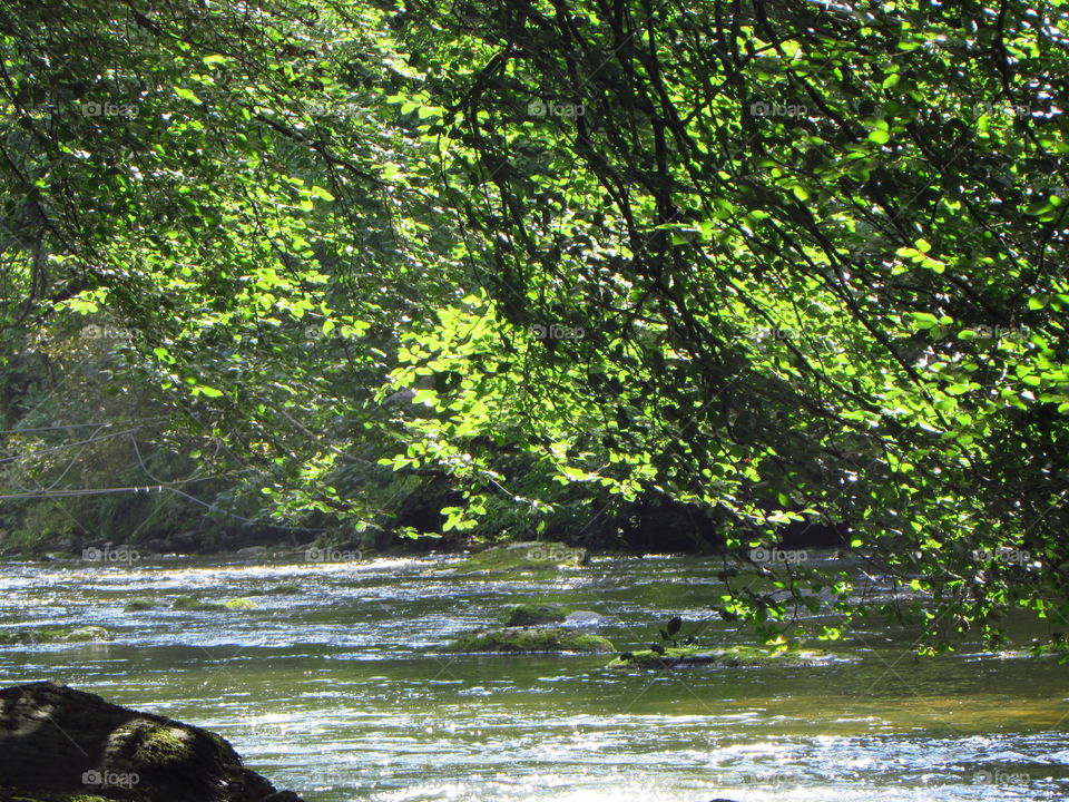 River Barle, Exmoor, UK