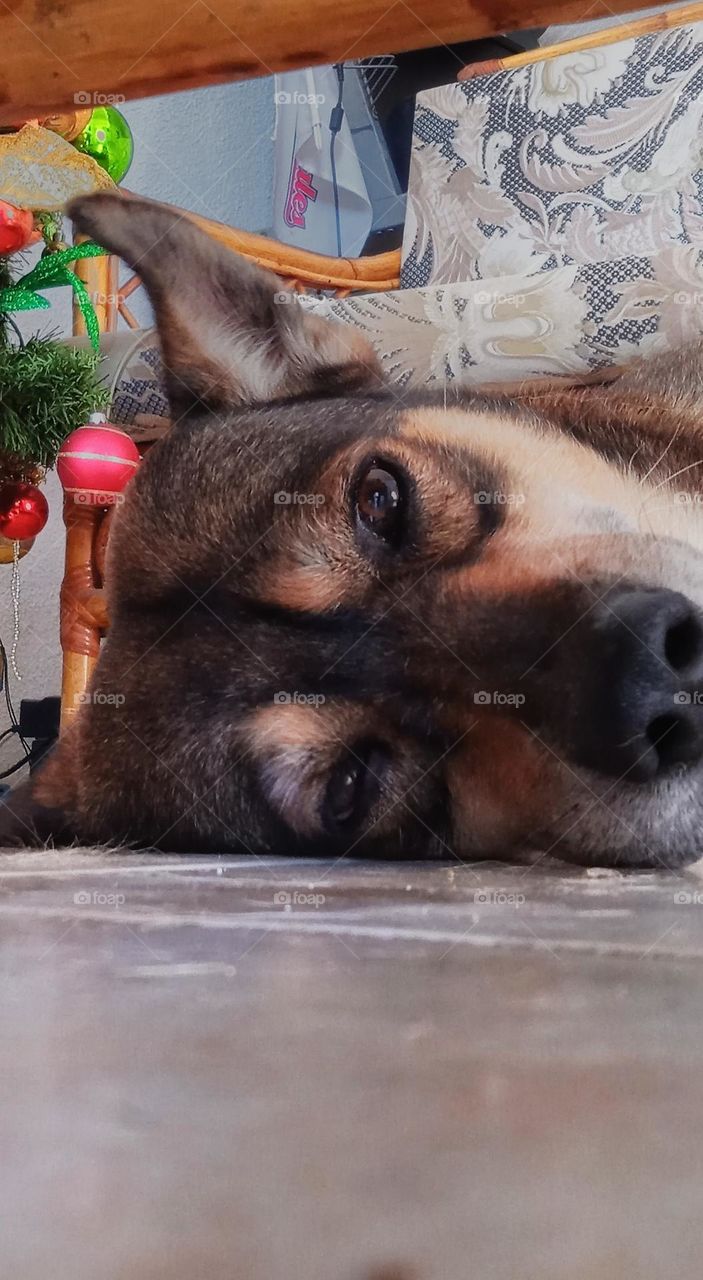 christmas hangover