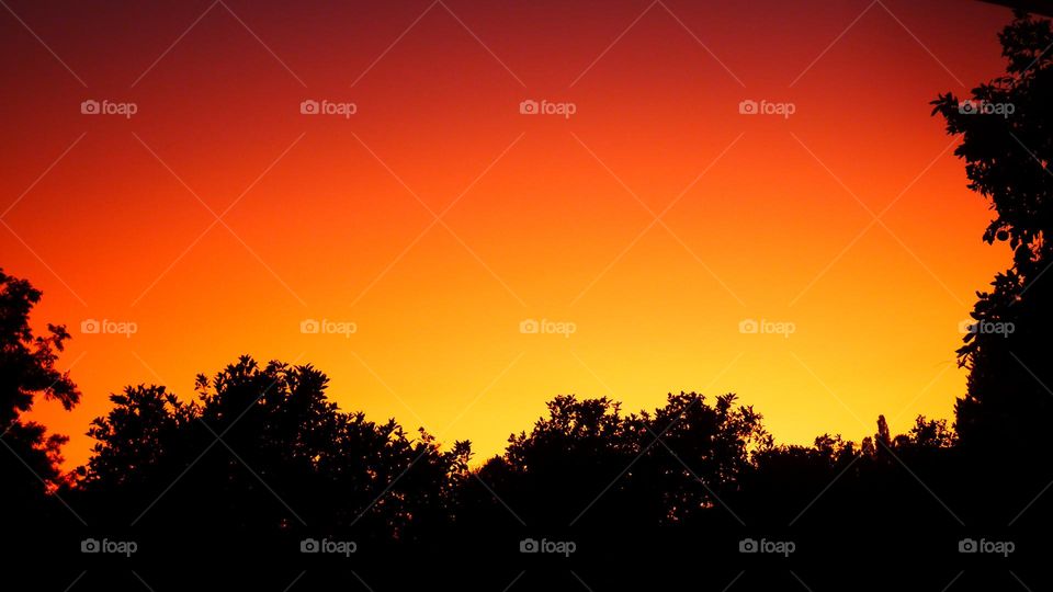 Colourful bright sunset