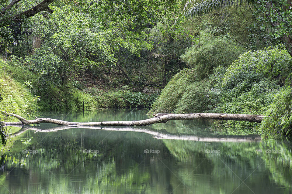 The water flowing over rocks and trees down a waterfall at Kapao waterfall National Park ,Chumphon in Thailand.