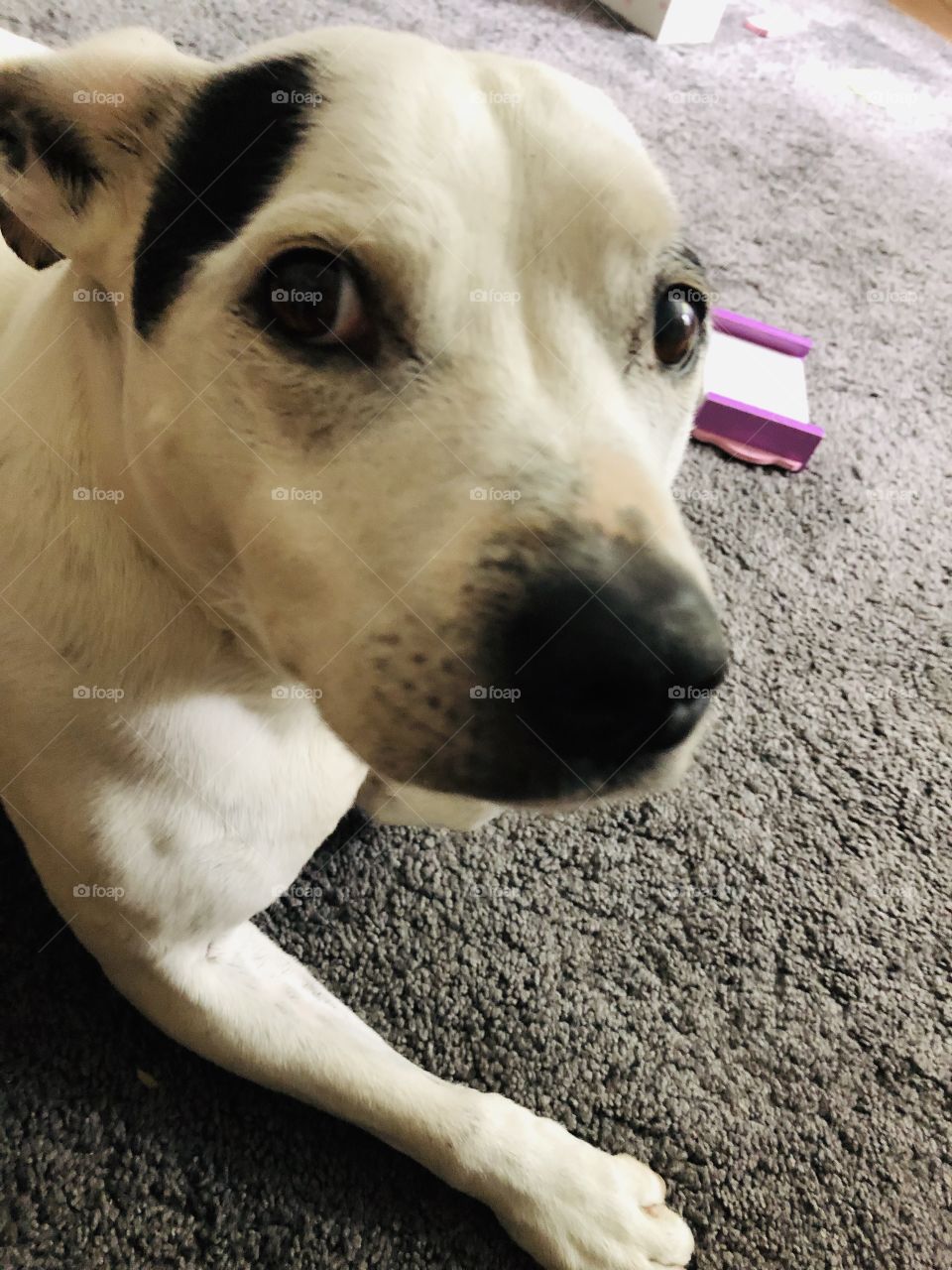 “ did you call me mum ? 