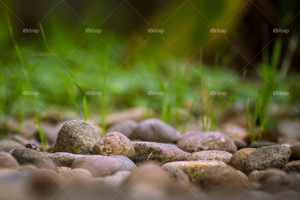 live like the grass among the rocks, no matter how difficult life, as