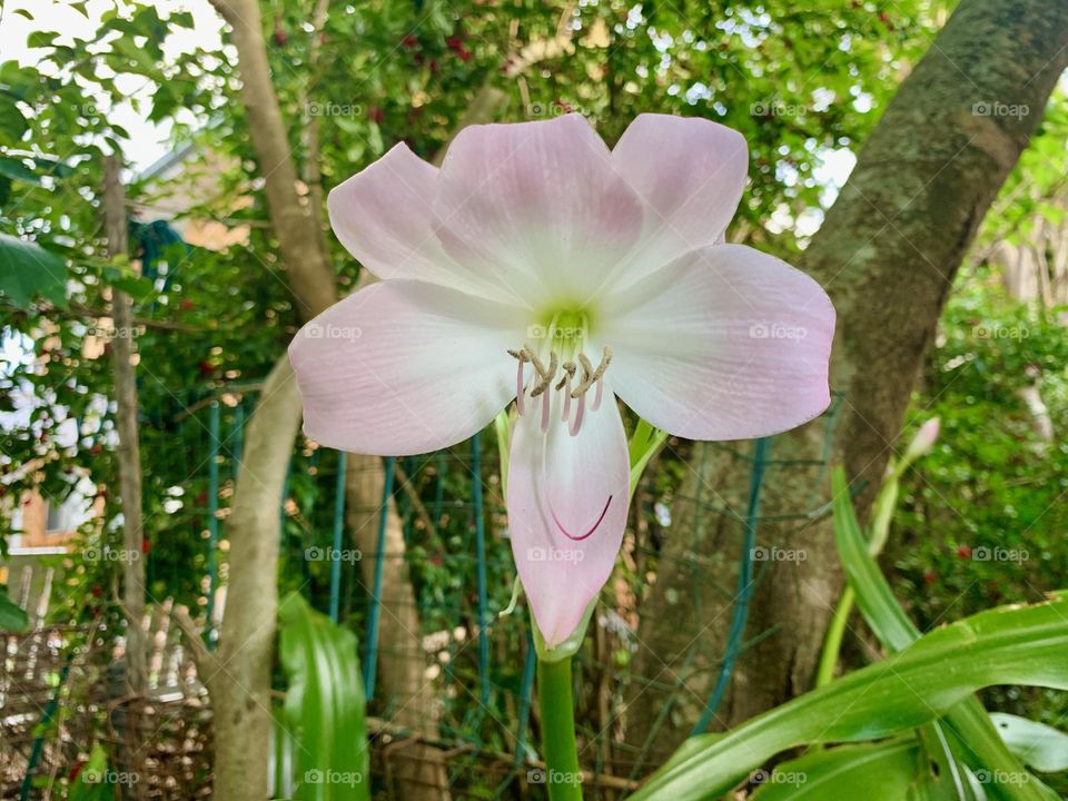 “I will be the gladdest thing under the sun! I will touch a hundred flowers and not pick one.”~Edna