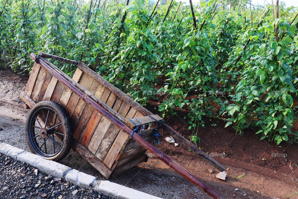 abandoned cart