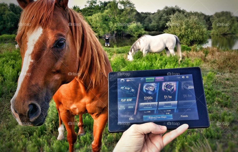 Playing Video Poker Out in the Pasture with the Horses & My Husband Fishing