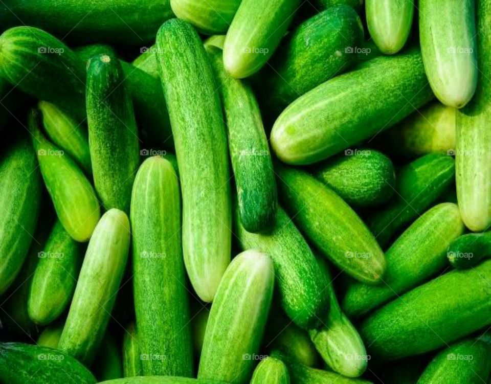 Cucumber is a widely cultivated plant in the gourd family, Cucurbitaceae. It is a creeping vine that bears cucumiform fruits that are used as vegetables. There are three main varieties of cucumber: slicing, pickling, and seedless.