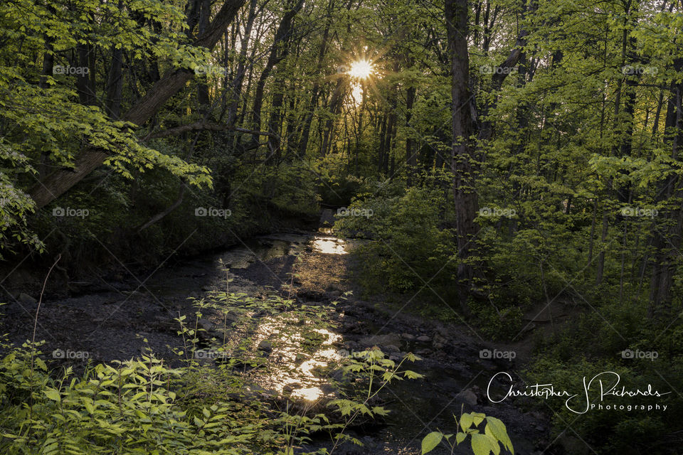 Creek side sun set