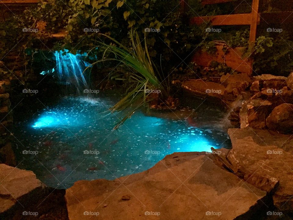 Water Garden at Night