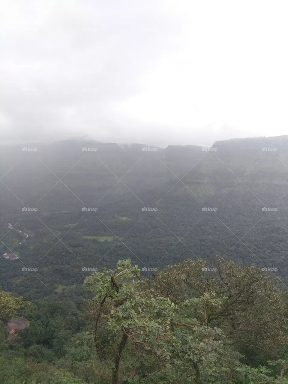Mountain
