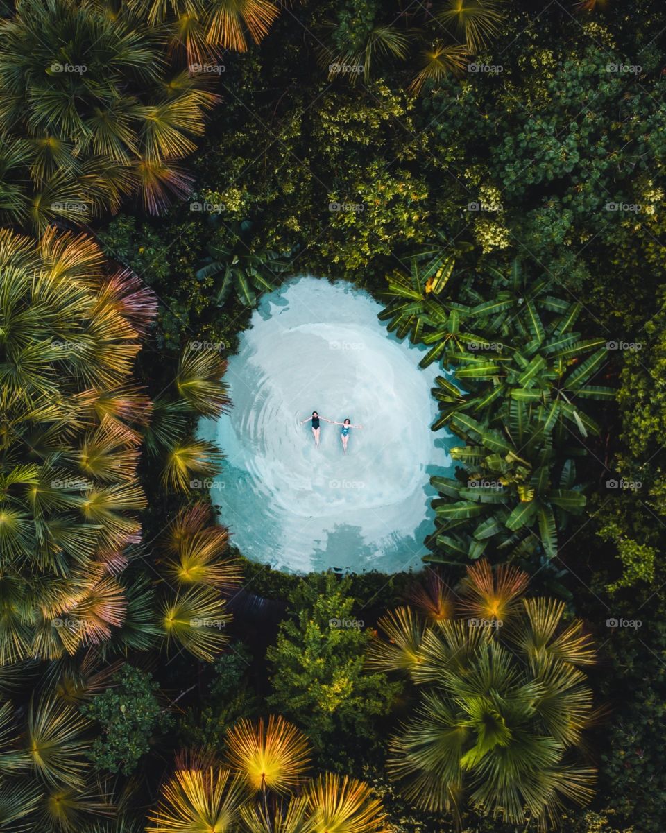 Plantas do Brasil cercando fervedouro