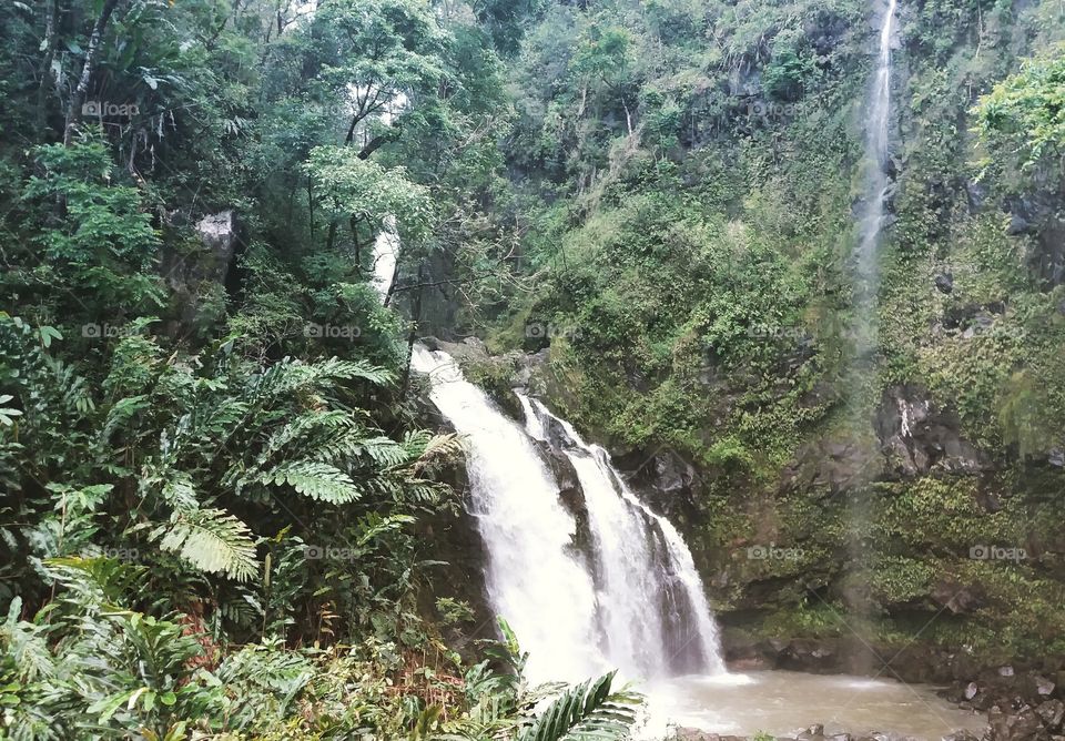 waterfall on the road to Hana, Hawaii